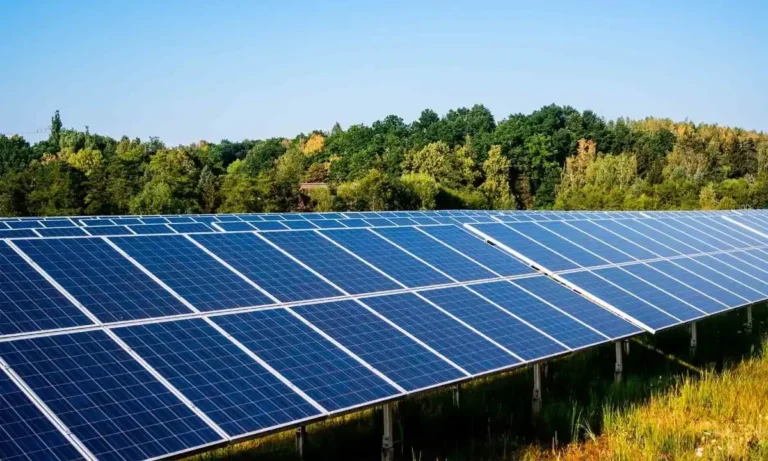 Cómo montar un huerto solar
