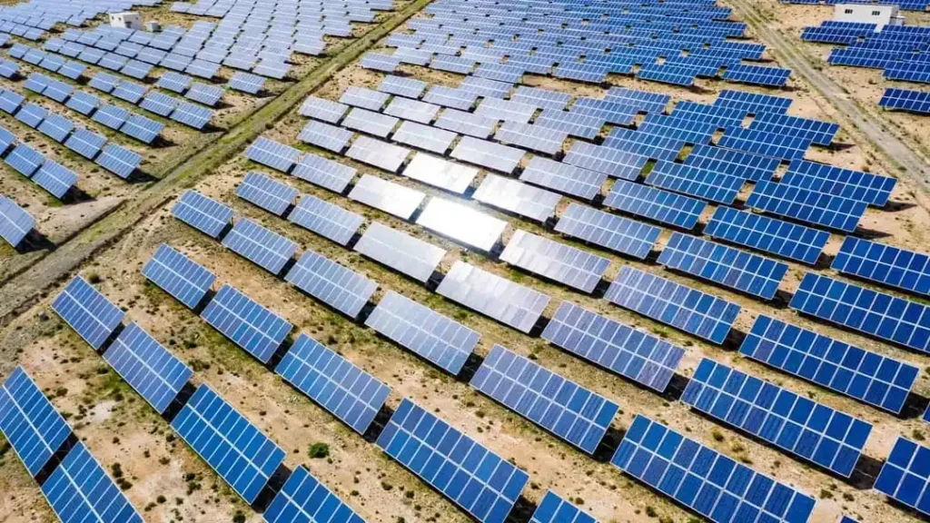 Es rentable montar un huerto solar