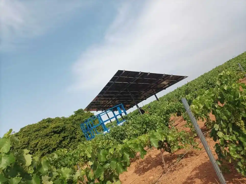 Tipos de paneles solares para riego agrícola